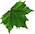leafpint.gif